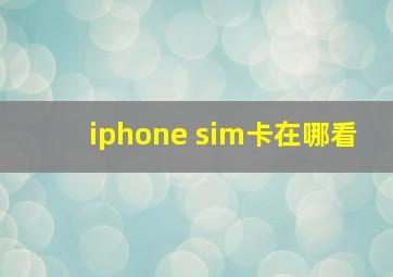 iphone sim卡在哪看